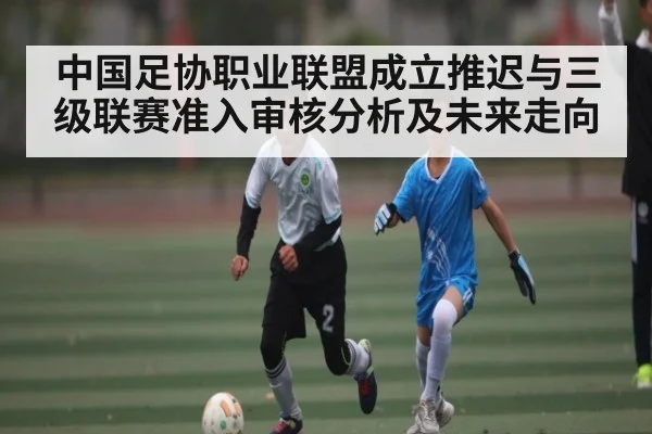 中国足协职业联盟成立推迟与三级联赛准入审核分析及未来走向